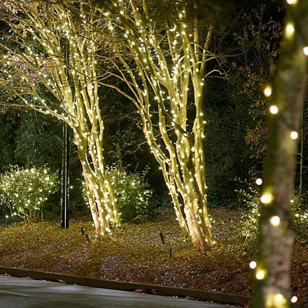outdoor lighting installation services