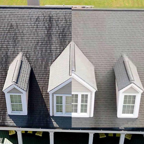 roof washing service